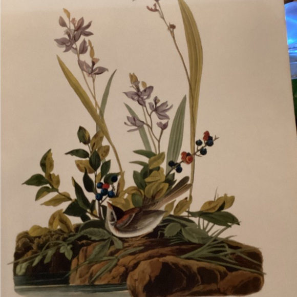 Print for framing - Picture 2 of 2